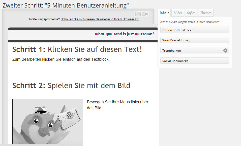 wordpress user manual - backend newsletter neu erstellen schritt 2